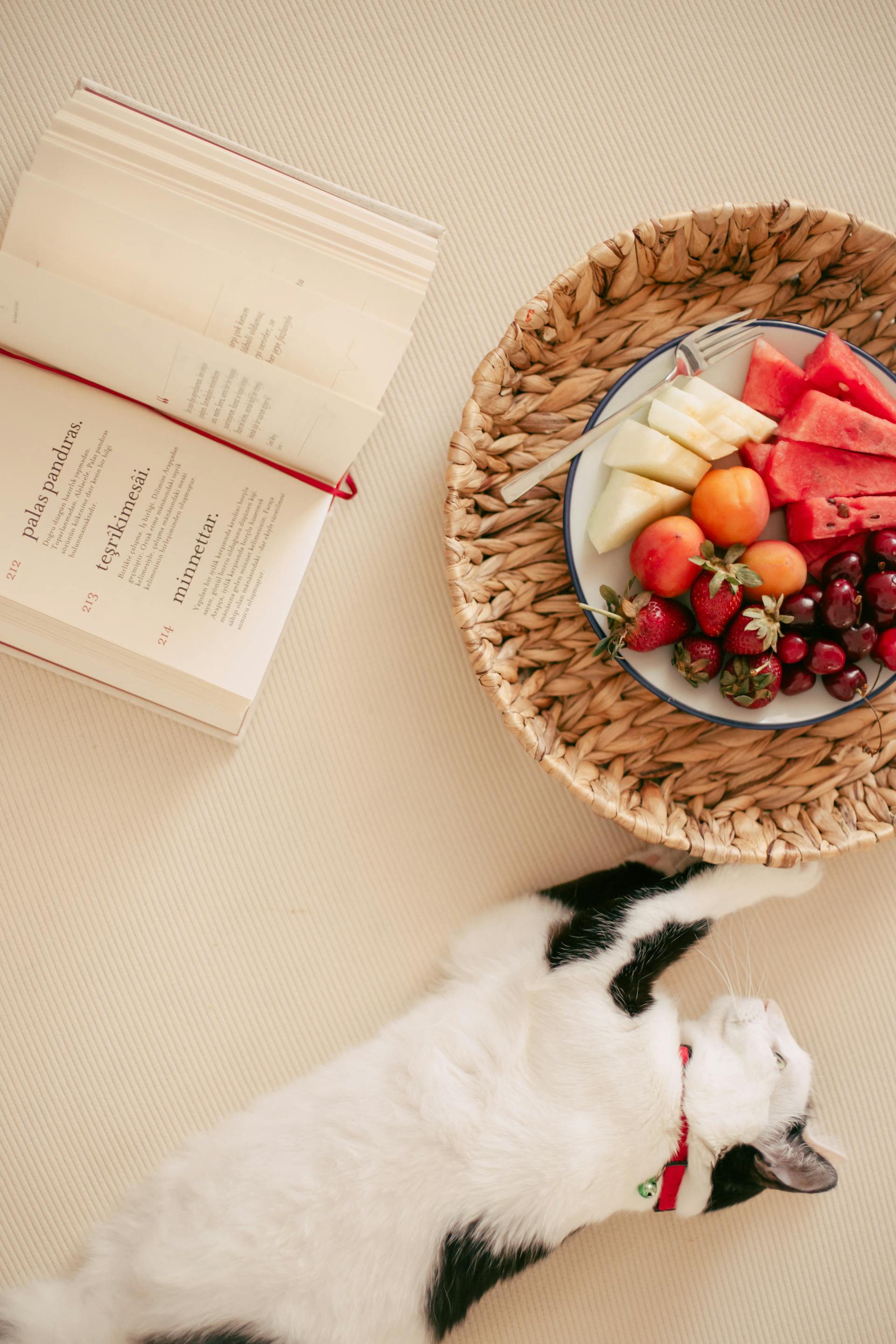 An open book beside a bowl of fruit